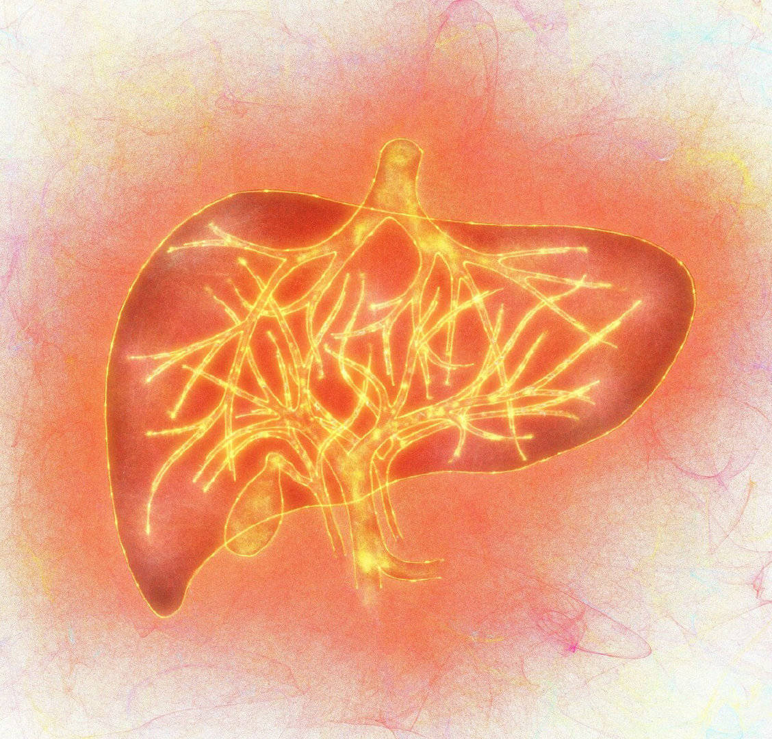 生活|乙肝“年度10大热点问题”出炉,都是你最关心的问题