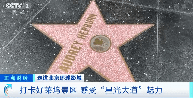 地面上的这些星星每一颗都由水磨石制成,这里之所以被称之为"星光大道