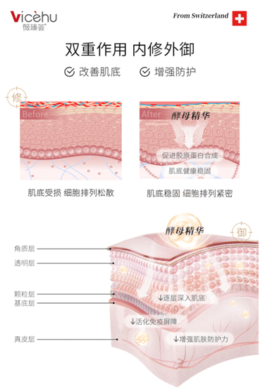 产品|谁才是二裂酵母界的老大？必须有这对“黄金搭档”的位置