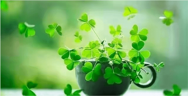 快速让自己平静下来 ffcf04c1ae054e01a49769b9115164f0.png