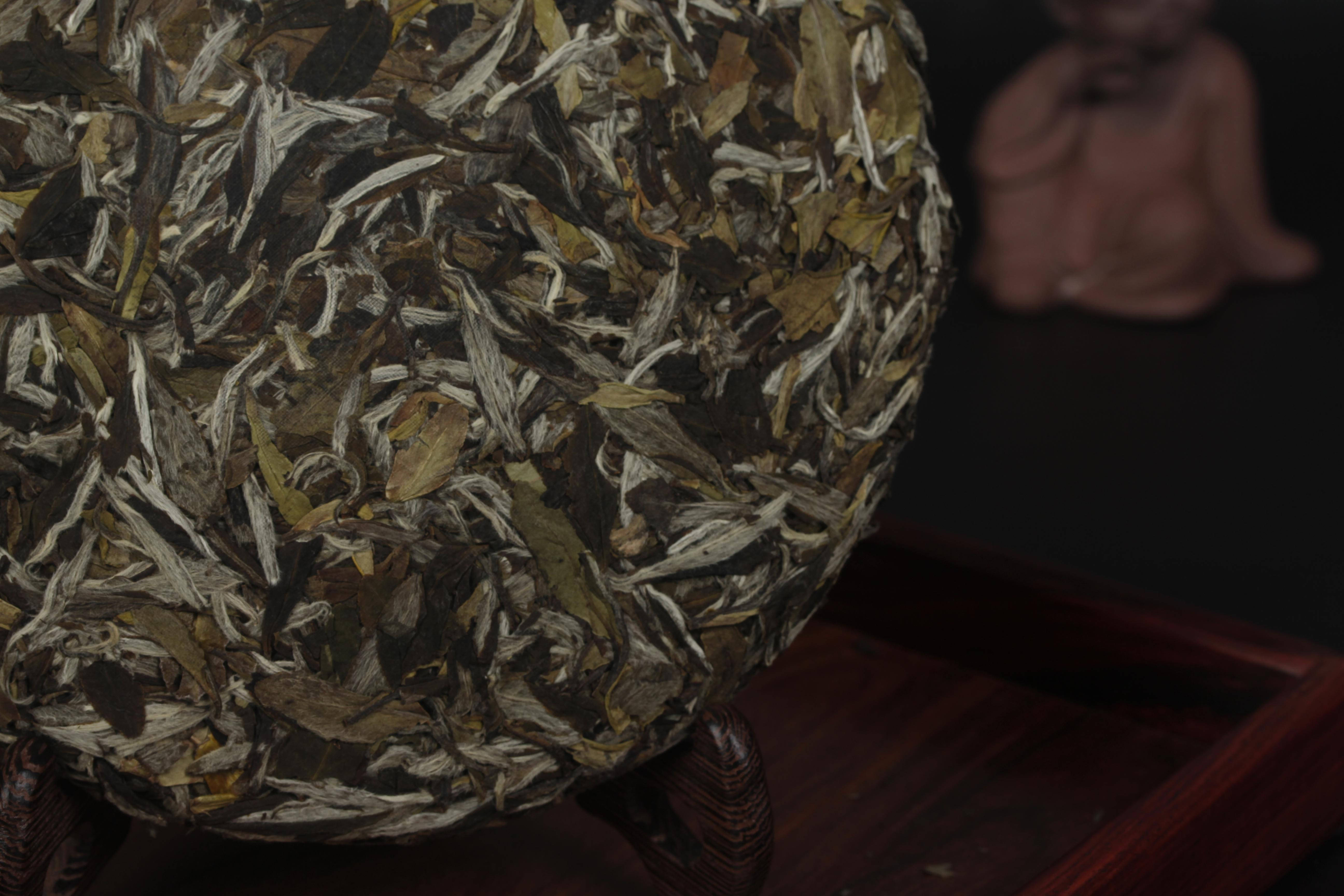 叶张|如何看白茶的品质特征?安吉白茶是什么茶?