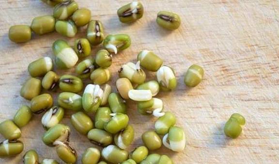 绿豆加一物有奇效不只是清热解毒 663db1b47c4f413aafcf45281b51268f.jpeg