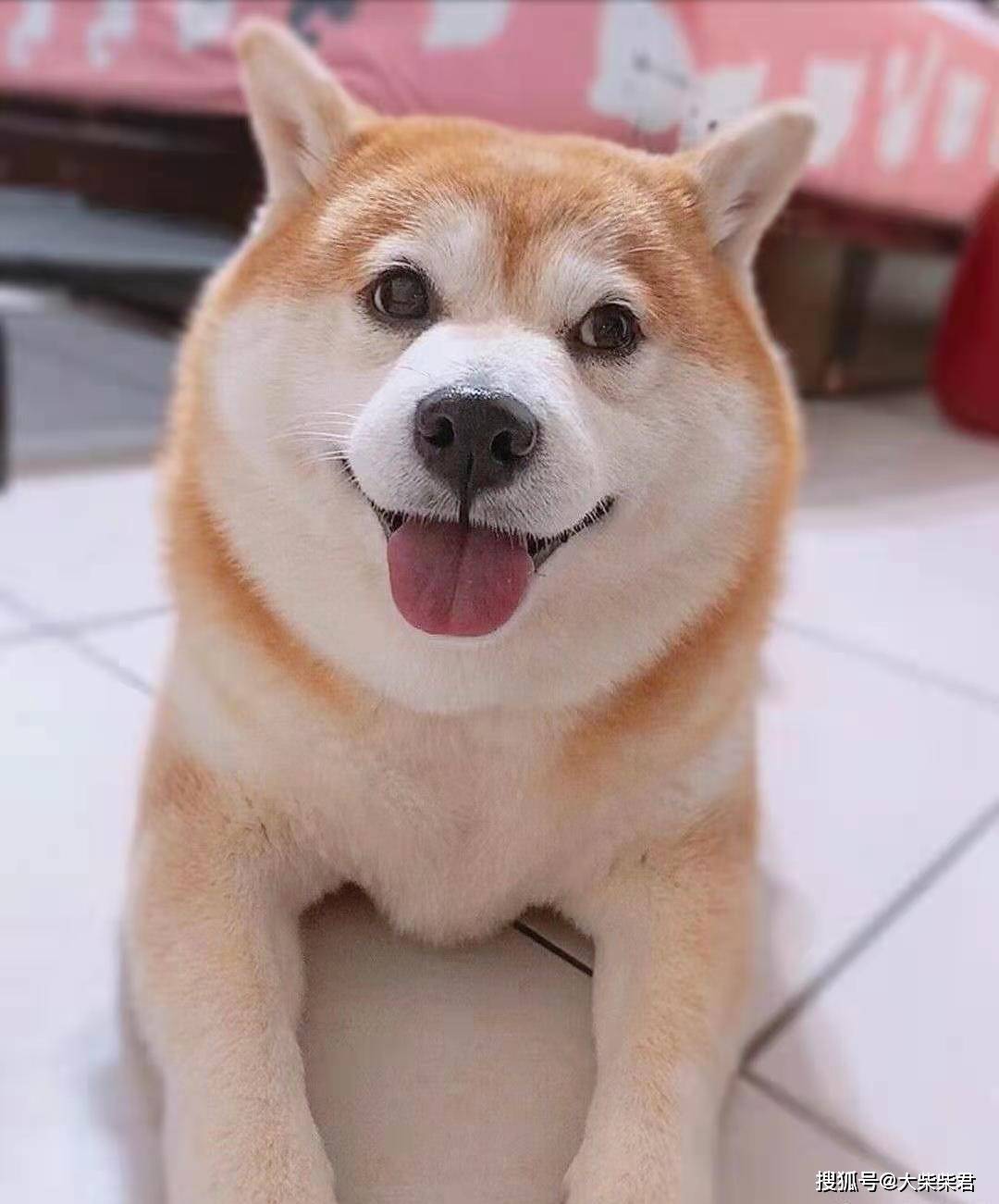 答:相当高我俩一起参加过高考!