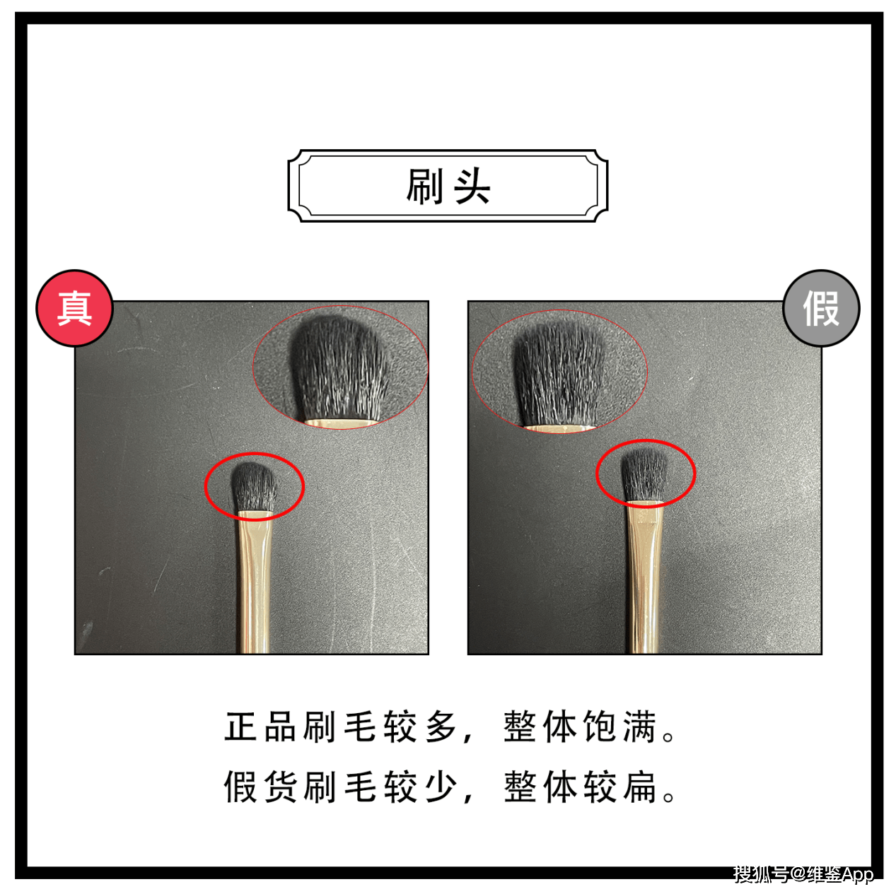 图案|完美日记丹顶鹤眼影盘真假鉴别