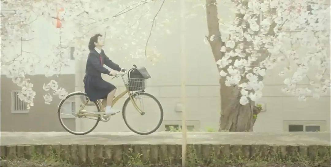 生母|《晨曦将至》关于生母与养母的事