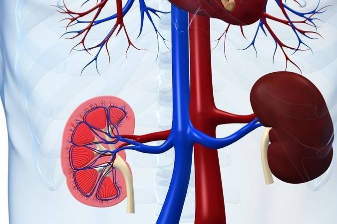 肾脏|肾炎有早期表现吗？肾内科主任：重视三处，不会太晚发现！