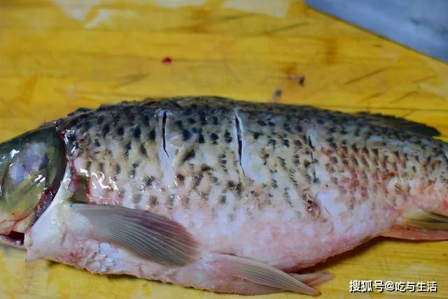 怎么炖鱼不腥不柴 6aaf2adfa5c94ad7b4540f01e961f26b.jpeg