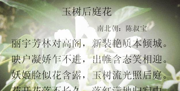 d3652c98f794479392b829afe7e04748.jpeg