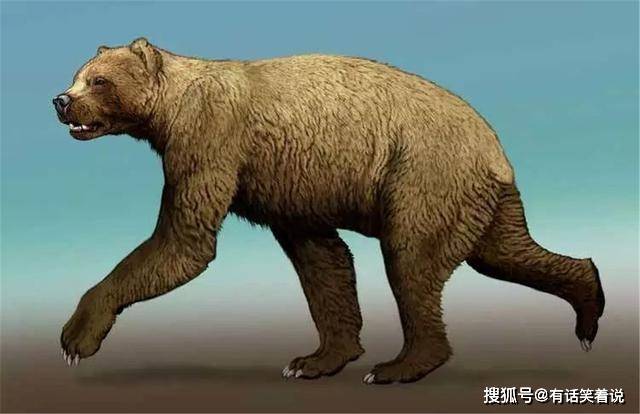 单挑恐狼群 攻击猛犸象 从剑齿虎口中夺食 短面熊为何就灭绝了 野牛