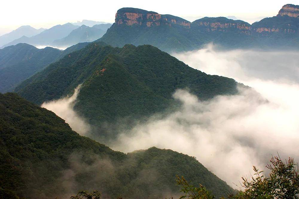 森林|世外仙山！井陉！ | 富达杯“每日一景·井陉美”