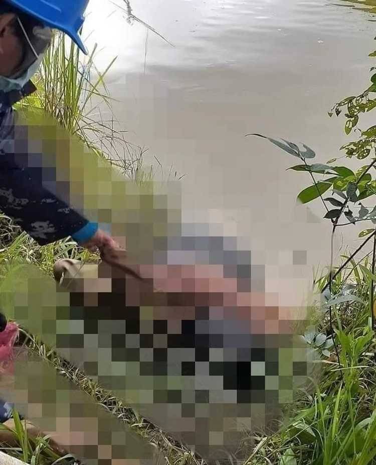 缅甸一女老师被杀抛尸生前年轻漂亮课讲得好杀人凶手终落网