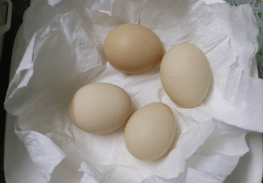 231b811b460e4d5189988daa258a5304.png