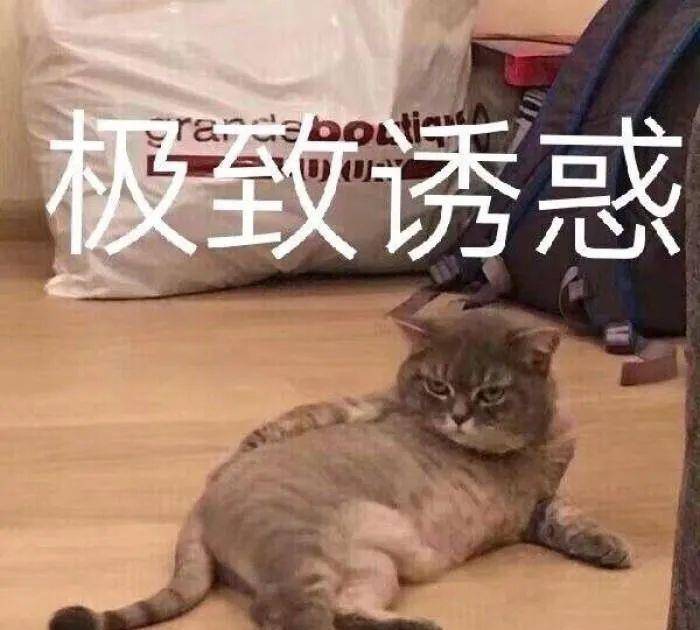 身材|阔腿裤下岗了！“瘦瘦裤”才是今夏王炸，太显瘦了！