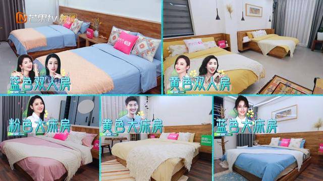 蒋勤勤|刘涛生病缺席《妻子5》，网友：她在不在没区别！