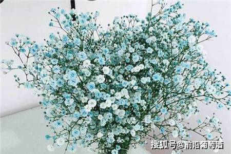 方法|葡萄酒花香的特点和品鉴方法,葡萄酒常见鲜花干花香分类图鉴详解