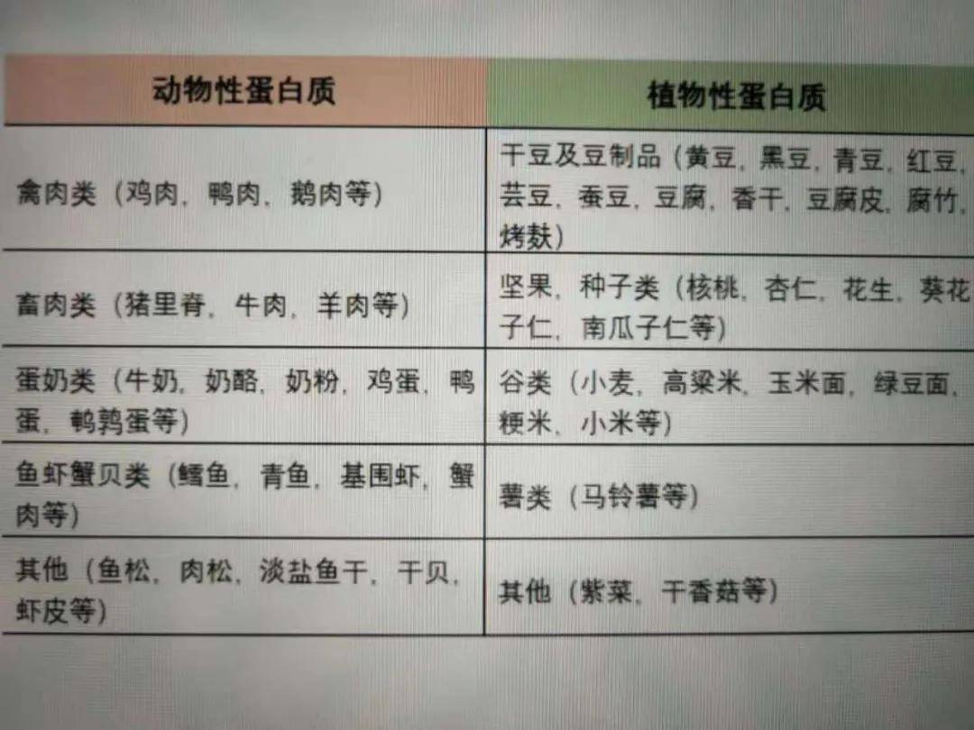 蛋白|丨肾病实验室丨吃对了，肾脏就能减负