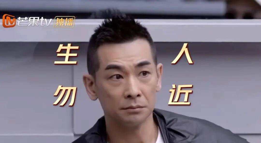 人间|《披荆斩棘的哥哥》,中年男星的最后结局,人间富贵花小雨