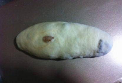 什么|早餐饿了吃什么?来一个这葡萄干面包,湿润Q弹,吃了还想吃