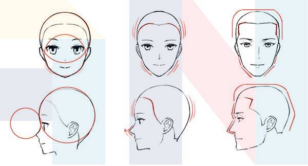 動漫人物的臉怎麼畫動漫人物男女面部區別有哪些