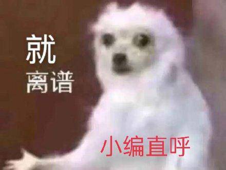 什么|马嘉祺的理想型姐姐标准