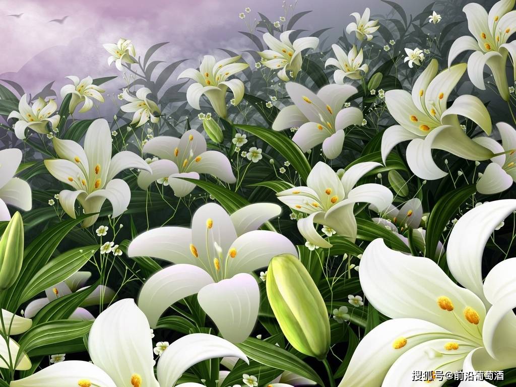 方法|葡萄酒花香的特点和品鉴方法,葡萄酒常见鲜花干花香分类图鉴详解