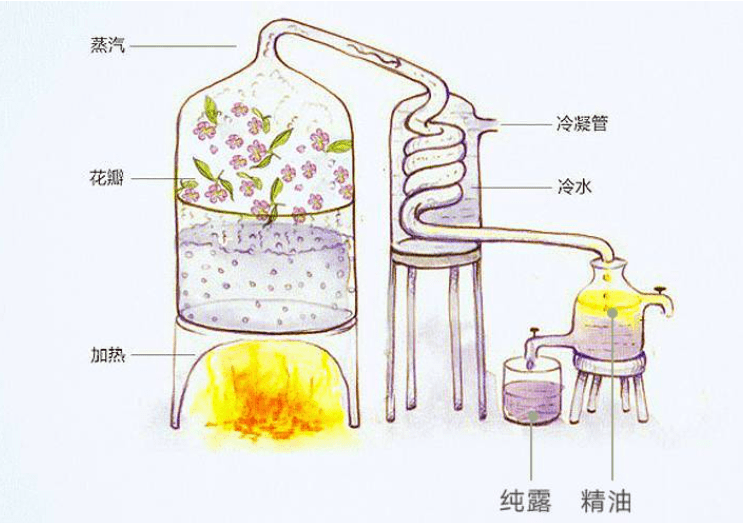 和蒸汽上升過程中通過冷熱交換器,在冷凝作用下產生水油分離的現象