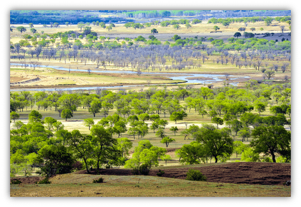 云慢疏林大草原塞外香格里拉京北治愈系草原之首
