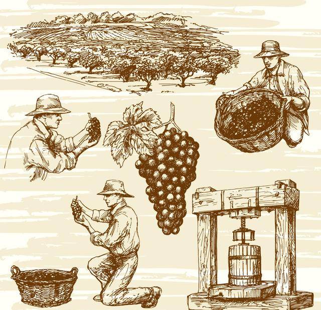 认知|《微醺之美》:走出品鉴葡萄酒的三大误区,趣味解读葡萄酒的世界