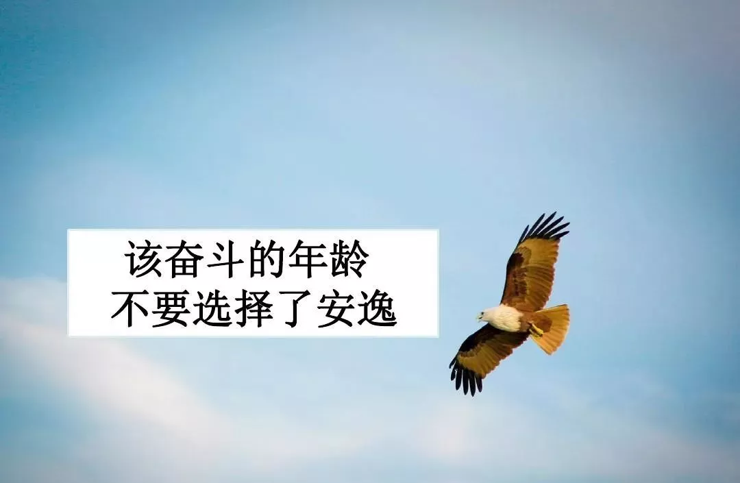 14161fb5274e4d6d9e25eb2e200daa29.png