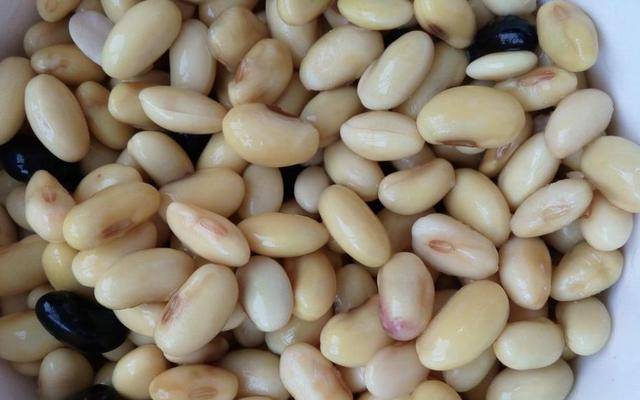 做法|豆腐脑的做法简单，不用卤水和石膏，做出来好吃又健康，成本低