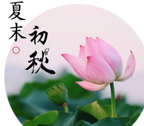 养护|末伏过后,调养脾胃,少碰三物,谨记五句话,为秋冬进补打好基础