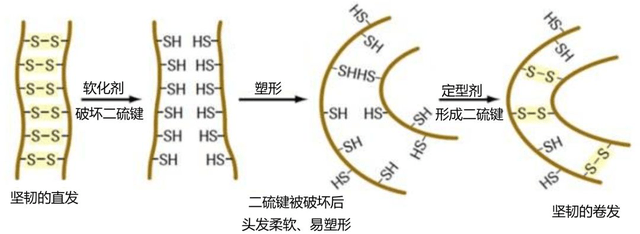 卷发|别人烫发是女神,我烫完是步惊云,烫发是如何改变头发形状的?