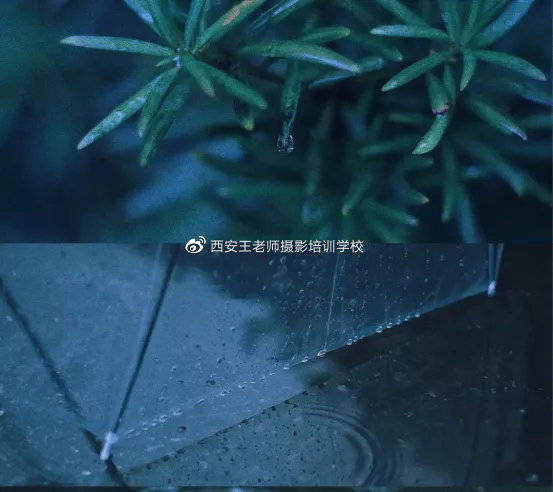 天气|雨天滤镜合集|去看不一样的下雨天