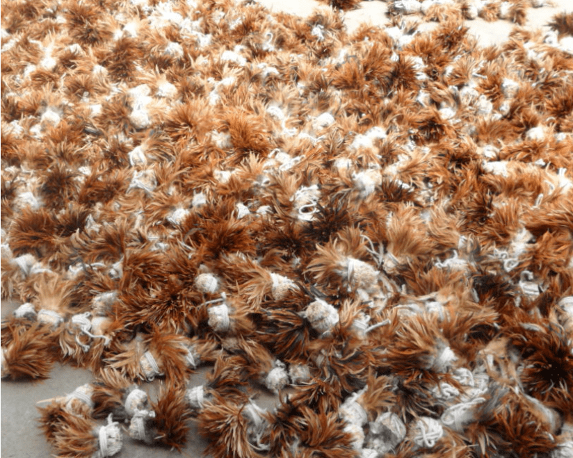 设备更齐全的鸡毛房,在屋顶上还挂有鸡毛的四方盖子