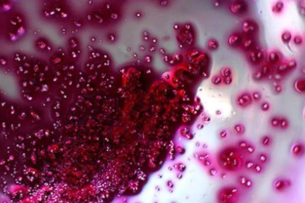 老酒|酒中发现了“黑渣”,你敢喝吗?