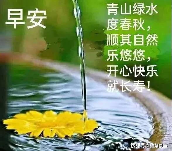 b79209a0b37f493b8ee1ecefdb402dba.jpeg