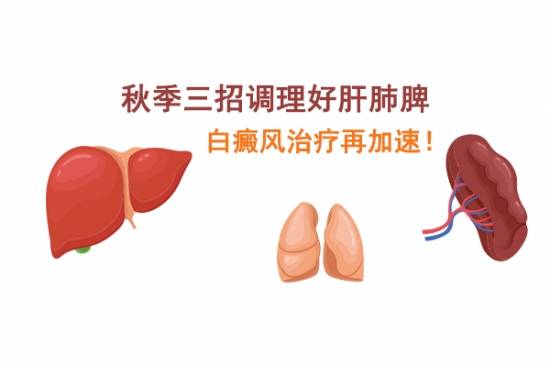 功能|北京白癜风医生王家怀：秋季三招调理好肝肺脾，白癜风治疗再加速!
