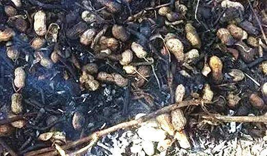 美食|80后的儿童节,印象中的美食,小时候吃过五种以上都是村富