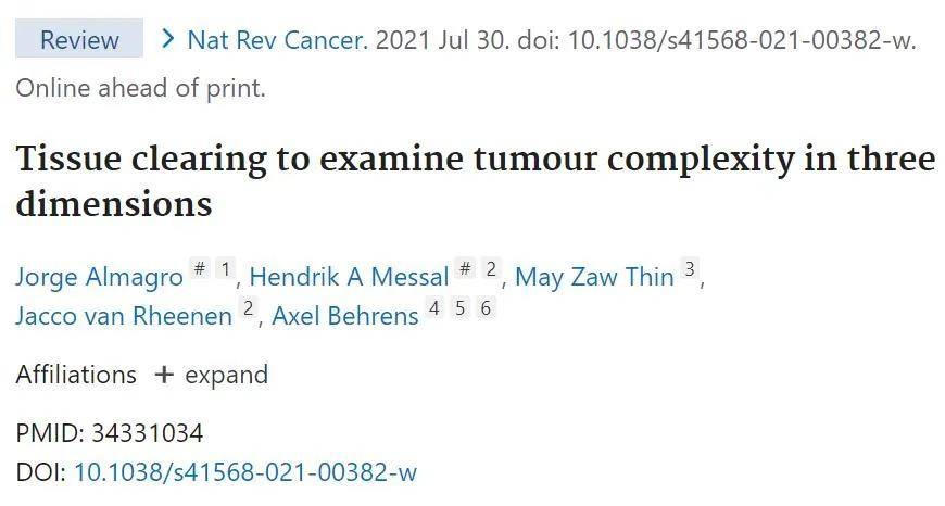 3D成像：肿瘤及病理组织中的应用