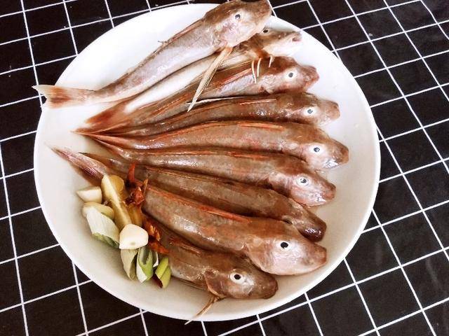 紅頭魚黃魚辮子魚大棒魚銅鑼魚,鱔魚,老闆魚,海鯰魚不過不論是價格