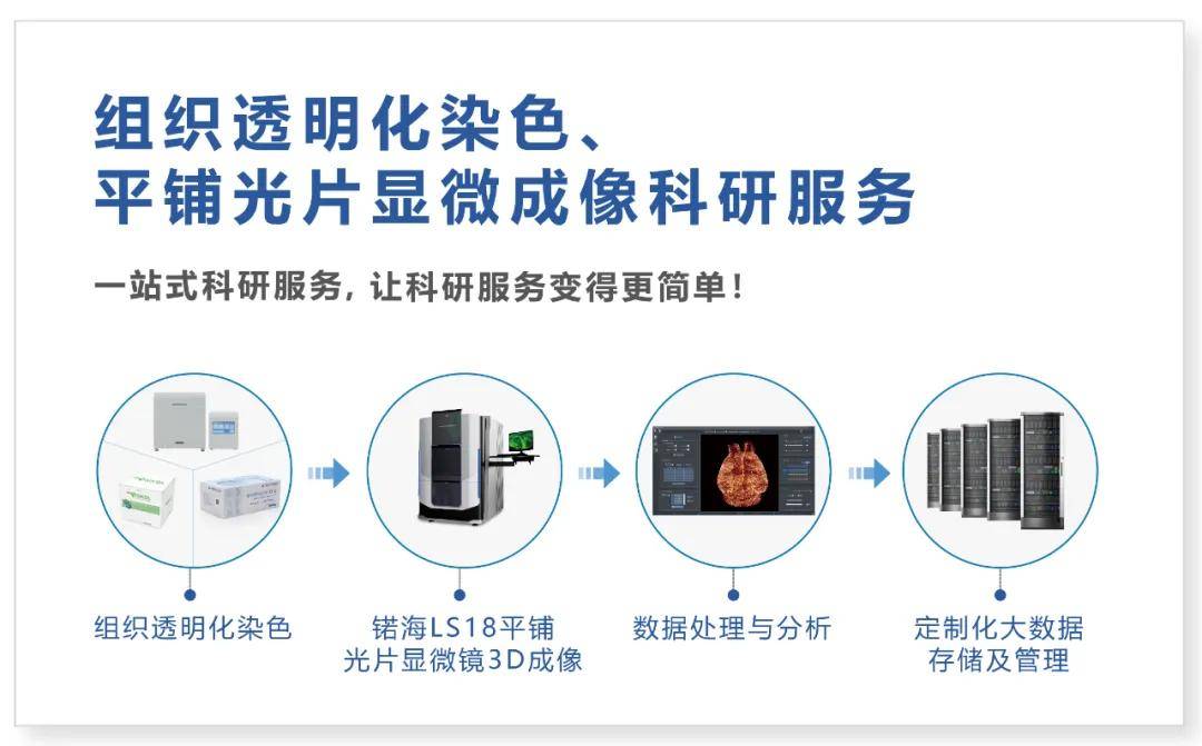 3D成像：肿瘤及病理组织中的应用