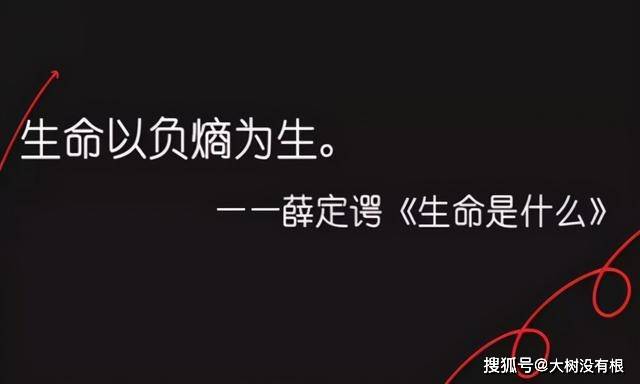 生命随时都会终止 9f182c5ab187402bbf13e5dfca8ff6cf.jpeg