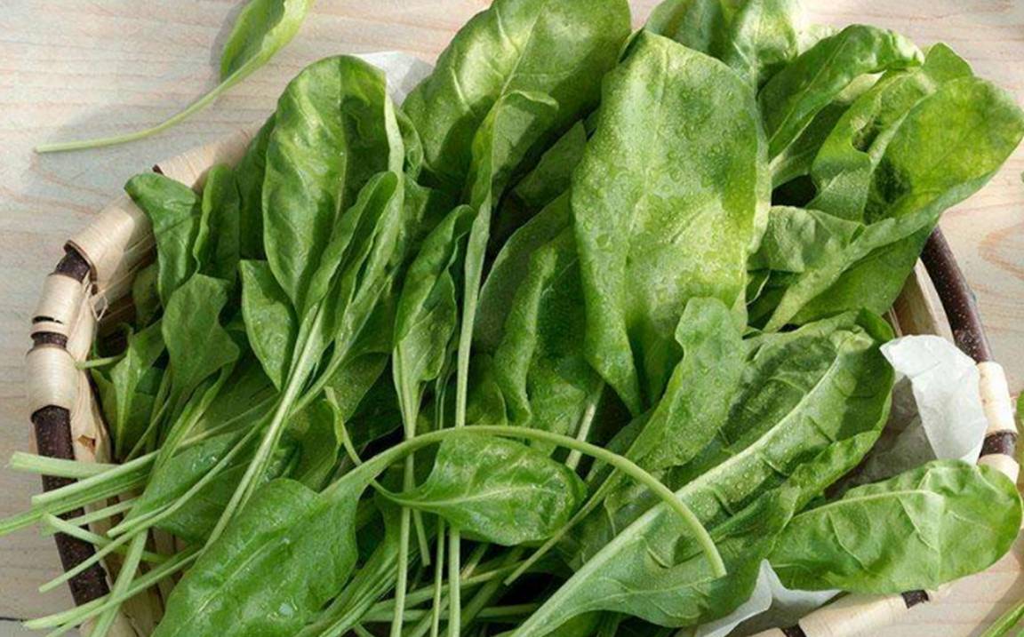 生活|植物胰岛素,糖尿病的“对手”,每天吃一点,糖尿病悄悄逃走