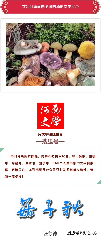 汪徐德 菇子秋 散文 松树林