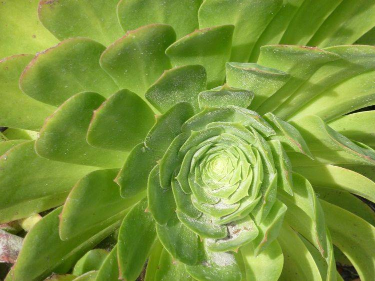 9月 桃花开的最旺 能够到自己真爱的4大星座 天秤座