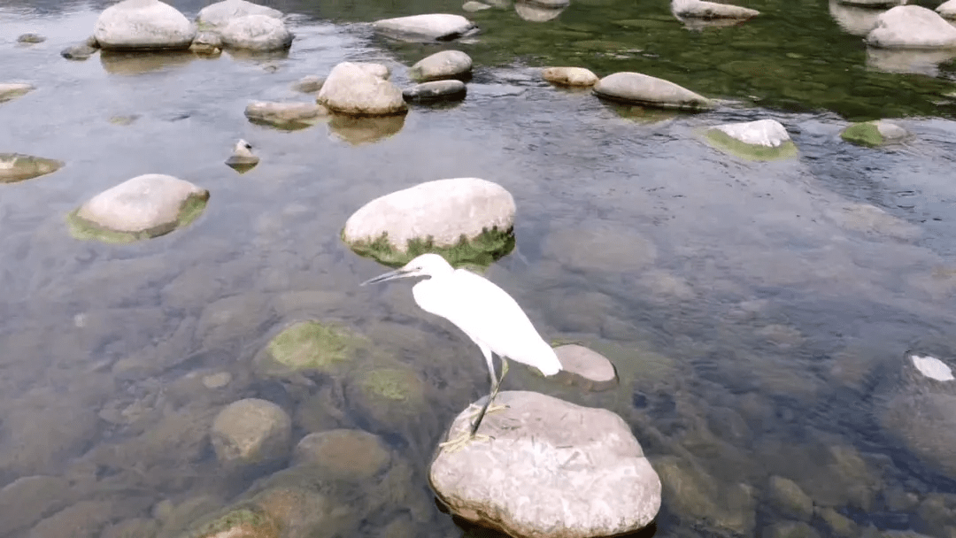 西峡老鹳河图片