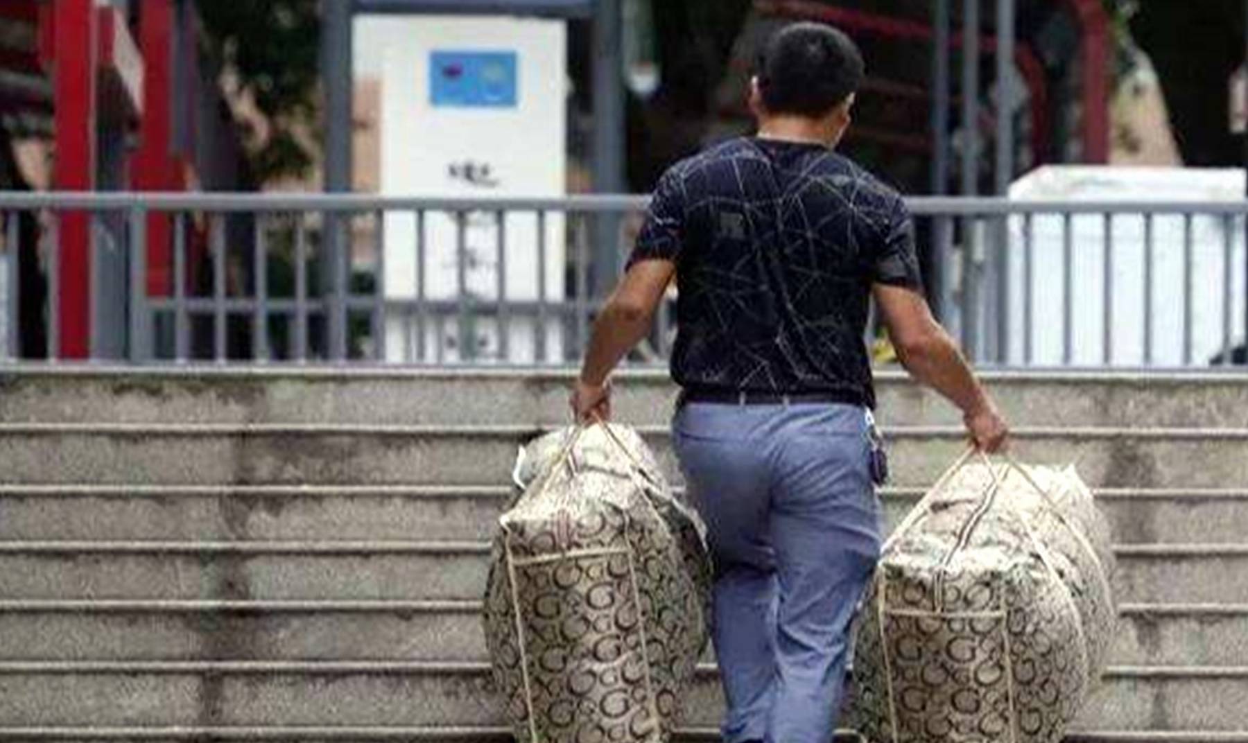 生活|为啥穷人成生育主力？穷孩子经历辛酸，穷父母也有无奈，都为生活