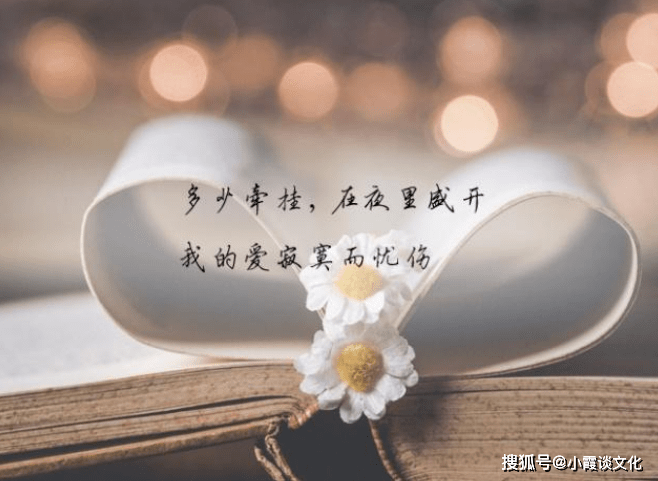 e0c36a61afe9495caea434887f3fb604.png