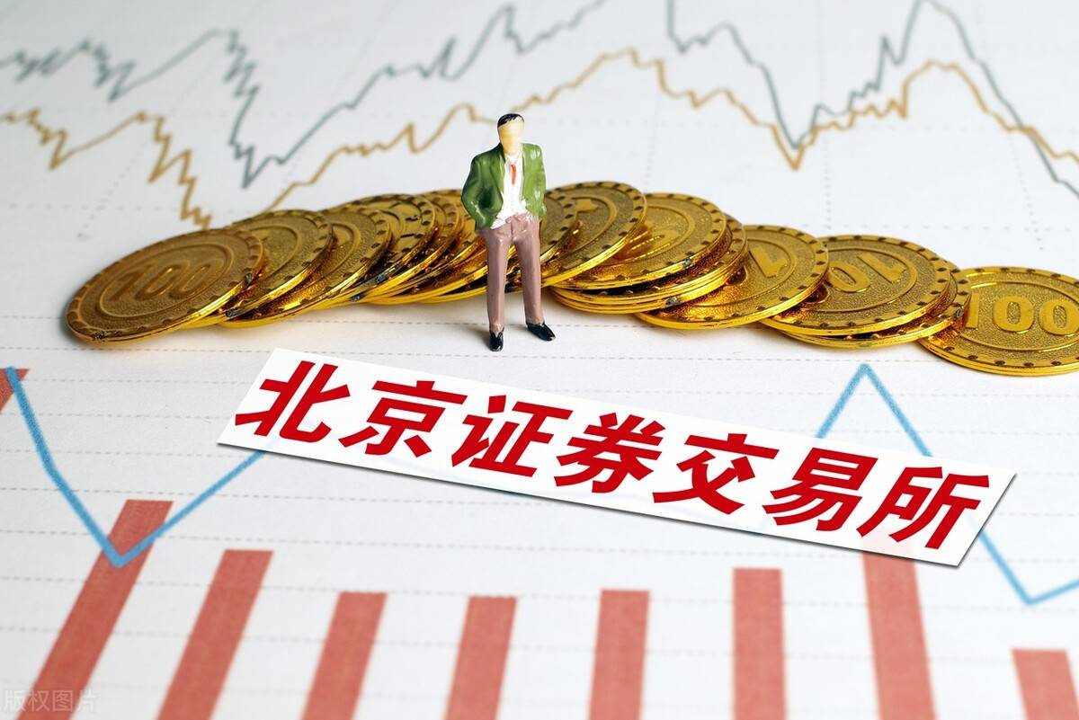净利润率排行_锦江股份各企业上半年净利润率排行榜