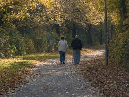 生活|多走路能降血糖吗？或许这有你想要的答案，血糖高的人望你了解